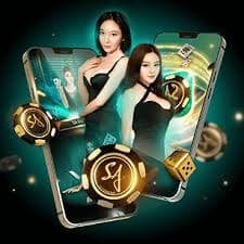 pr651 Customer Support